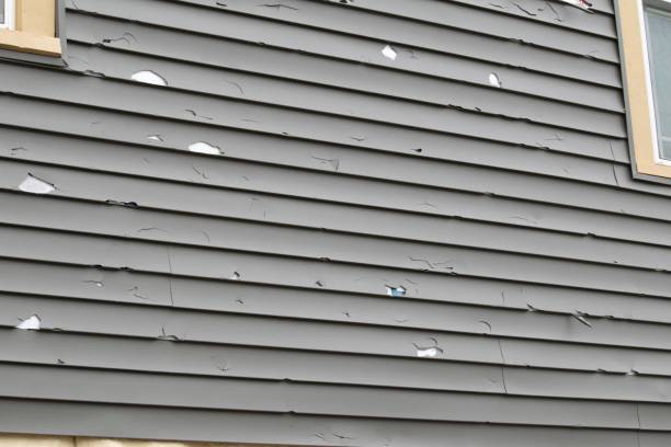 Best Insulated Siding Installation  in Lincoln, ID